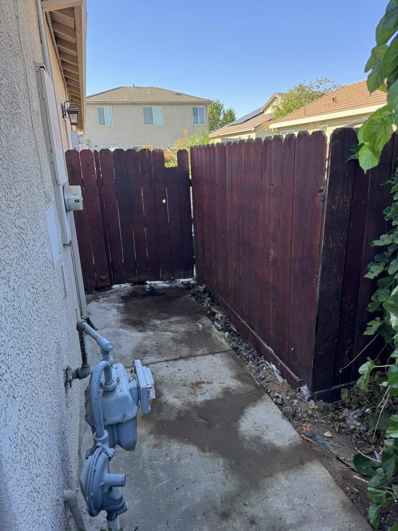 After: side yard cleared of all junk and debris